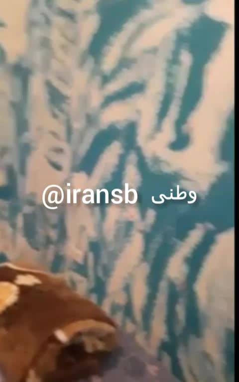 سکس ایرانی – سکس – فیلم سکسی ایرانی – سوپر ایرانی – پورن ایرانی (3186).mp4 - تماشای آنلاین در بکن تو