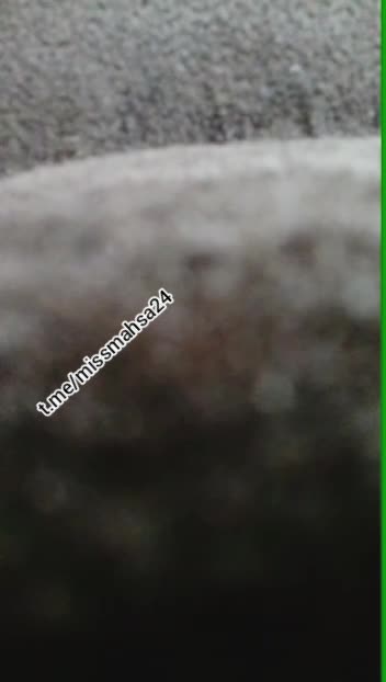 💦 جنده شیرازی ممنوعه 【 پخش آنلاین 】 سایت بکن تو