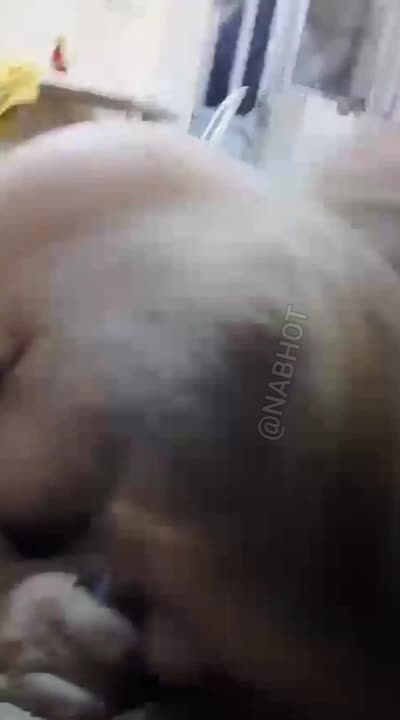 🔞 سکس شمالی لو رفته 【 لینک مستقیم 】 سایت بکن تو
