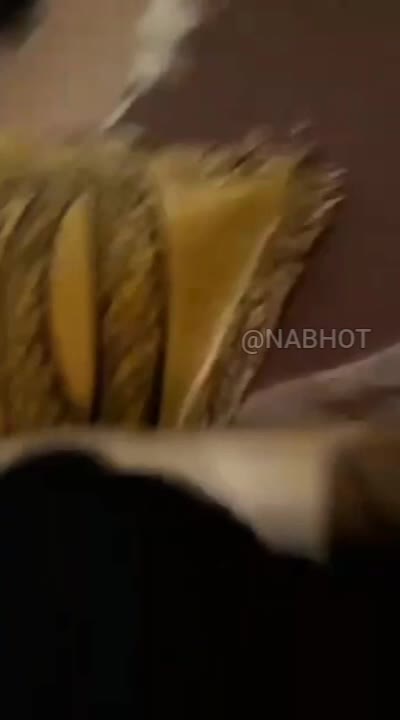 🍆 جنده شمالی لو رفته 【 اینترنت نیم بها 】 سایت بکن تو