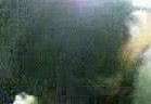 Iranian Hijab Girl Gives Fantastic Blowjob & Swallows Cum.mp4 - تماشای آنلاین در بکن تو