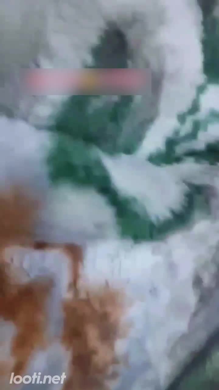 فیلم سکس ایرانی نفر سوم داره گاییدن دوس دخترشو فیلم میگیره.mp4 - تماشای آنلاین در بکن تو