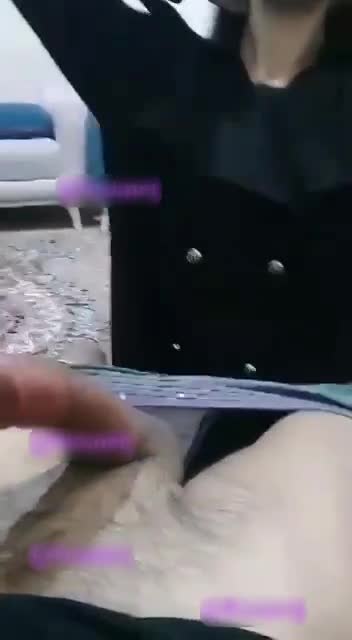 دختره واسه دوس پسرش ساک میزنه ، میگه دندون نزن کوس کش.mp4